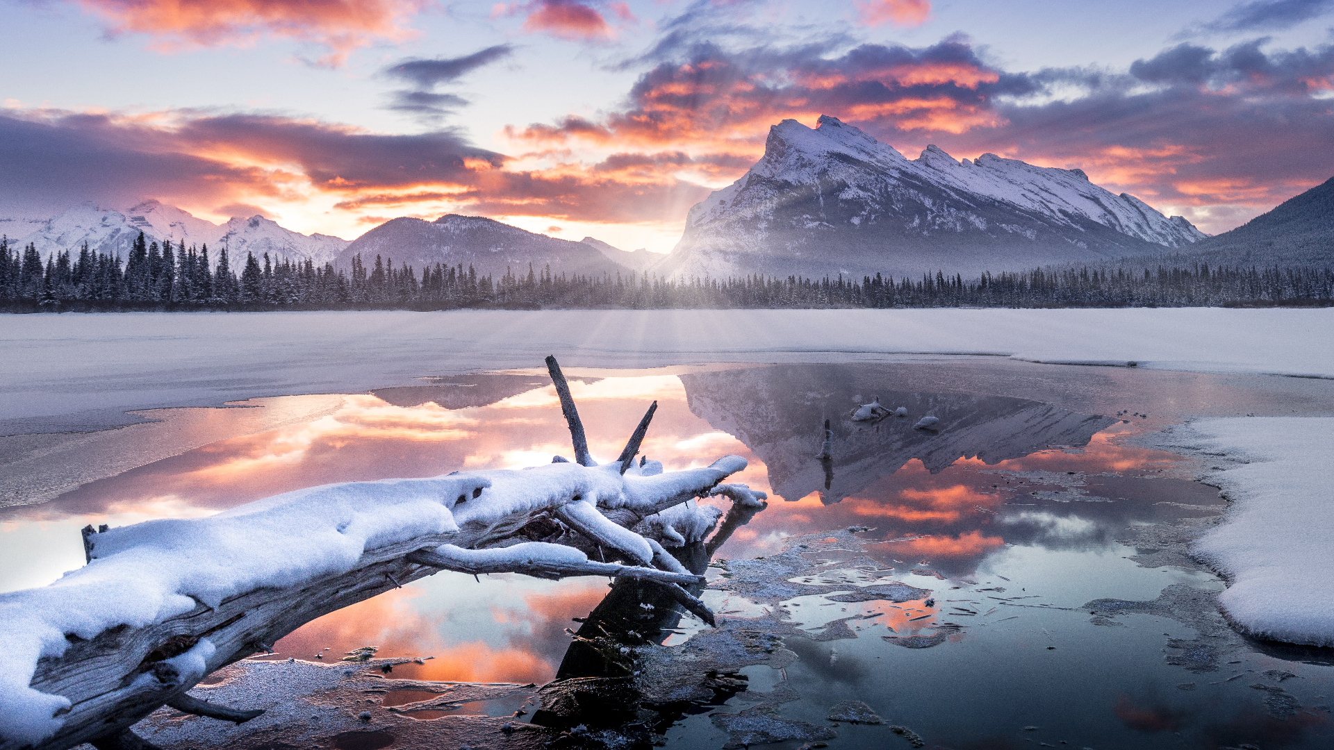 【转载】正则表达式不会用?记不住?10分钟动手全部搞懂